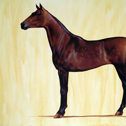 “Pferd“, Acryl, ca. 60x46cm