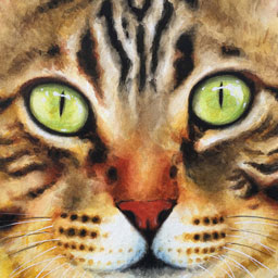 “Katzenkopf“, Aquarell, ca. 26x21 cm