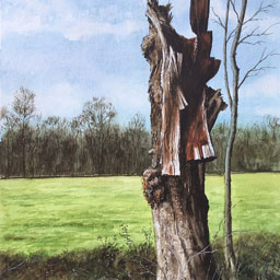 “Toter Baum“, Aquarell, ca. 31x21 cm
